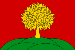 Флаг региона